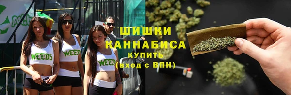 сатива Белокуриха