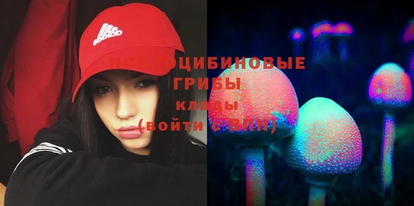 гашик Беломорск