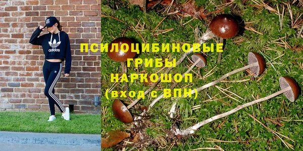 гашик Беломорск