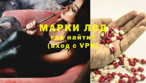 гашик Беломорск