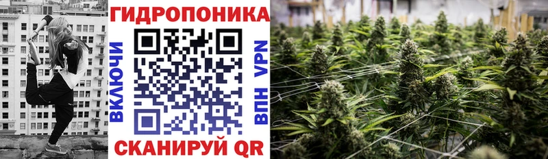 где найти наркотики  Гремячинск  Бошки Шишки план 